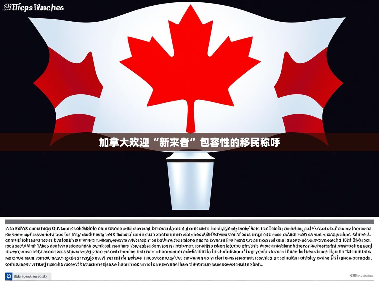 加拿大欢迎“新来者”包容性的移民称呼 加拿大欢迎“新来者”包容性的移民称呼