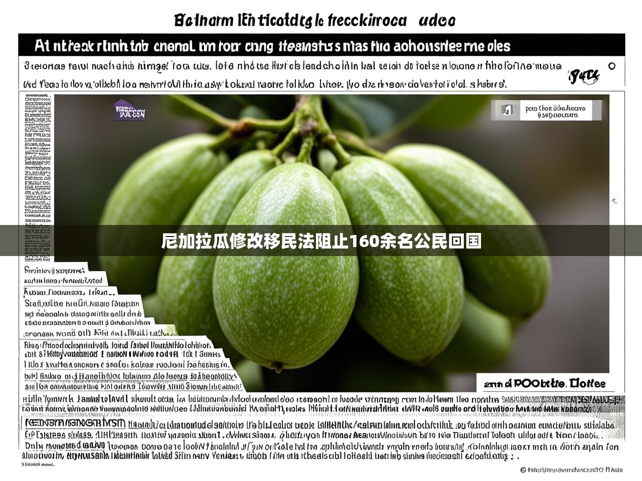 尼加拉瓜修改移民法阻止160余名公民回国
