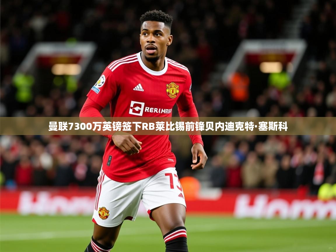 曼联7300万英镑签下RB莱比锡前锋贝内迪克特·塞斯科