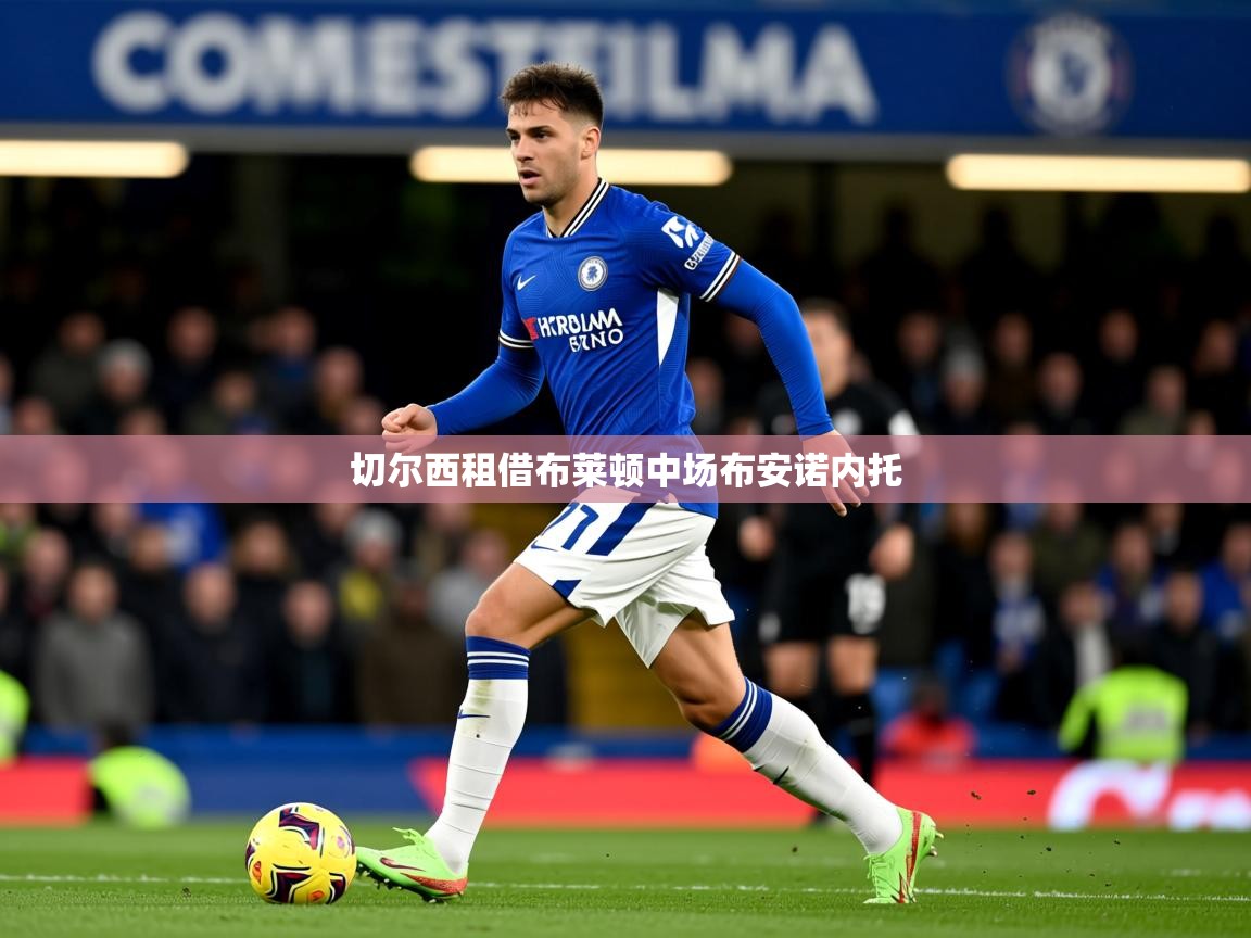 切尔西租借布莱顿中场布安诺内托