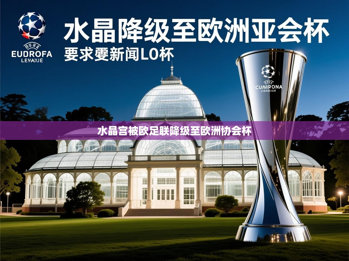水晶宫被欧足联降级至欧洲协会杯