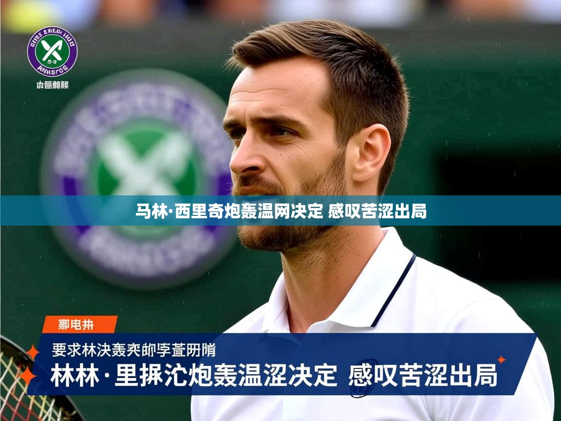 马林·西里奇炮轰温网决定 感叹苦涩出局