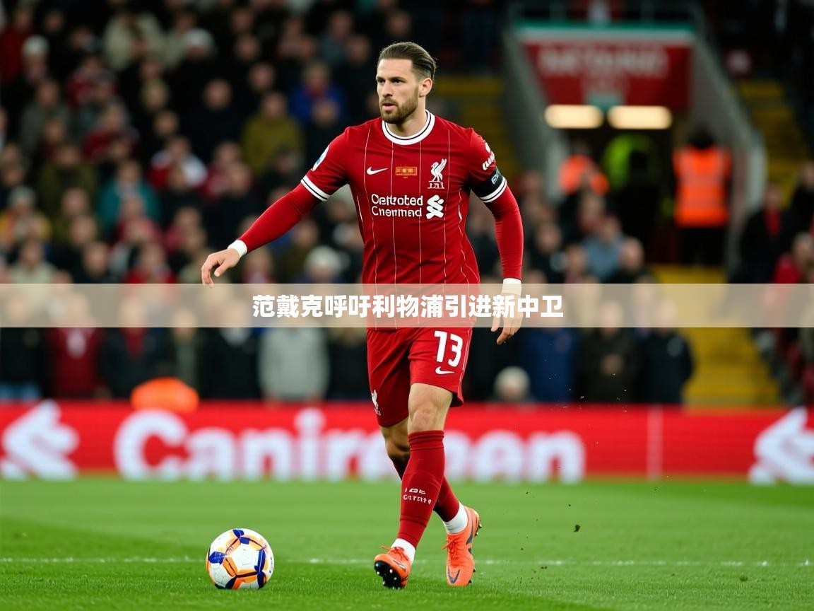范戴克呼吁利物浦引进新中卫 范戴克呼吁利物浦引进新中卫