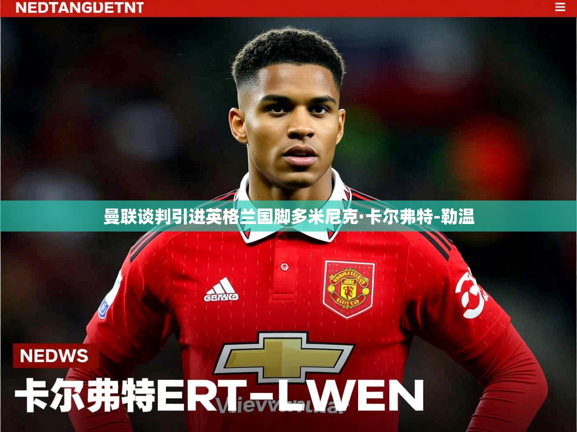 曼联谈判引进英格兰国脚多米尼克·卡尔弗特-勒温