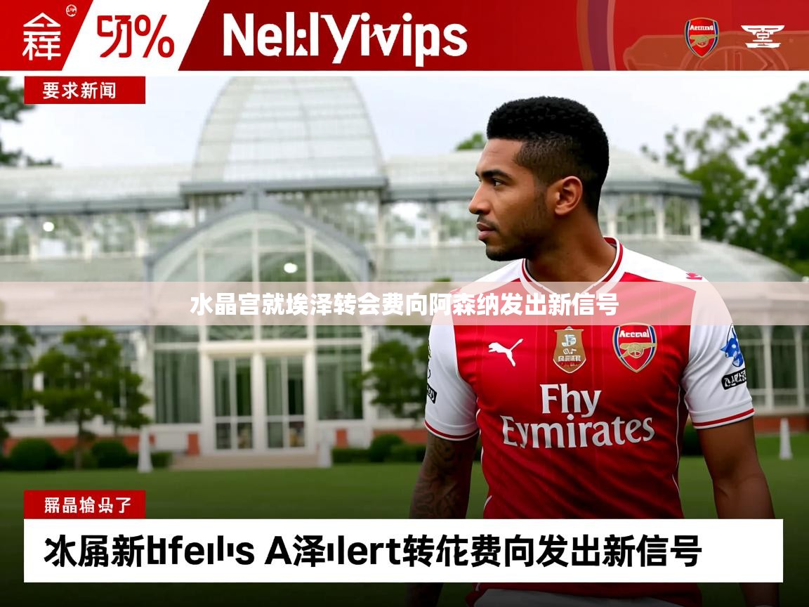水晶宫就埃泽转会费向阿森纳发出新信号