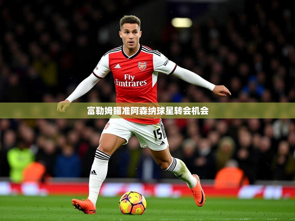 富勒姆瞄准阿森纳球星转会机会